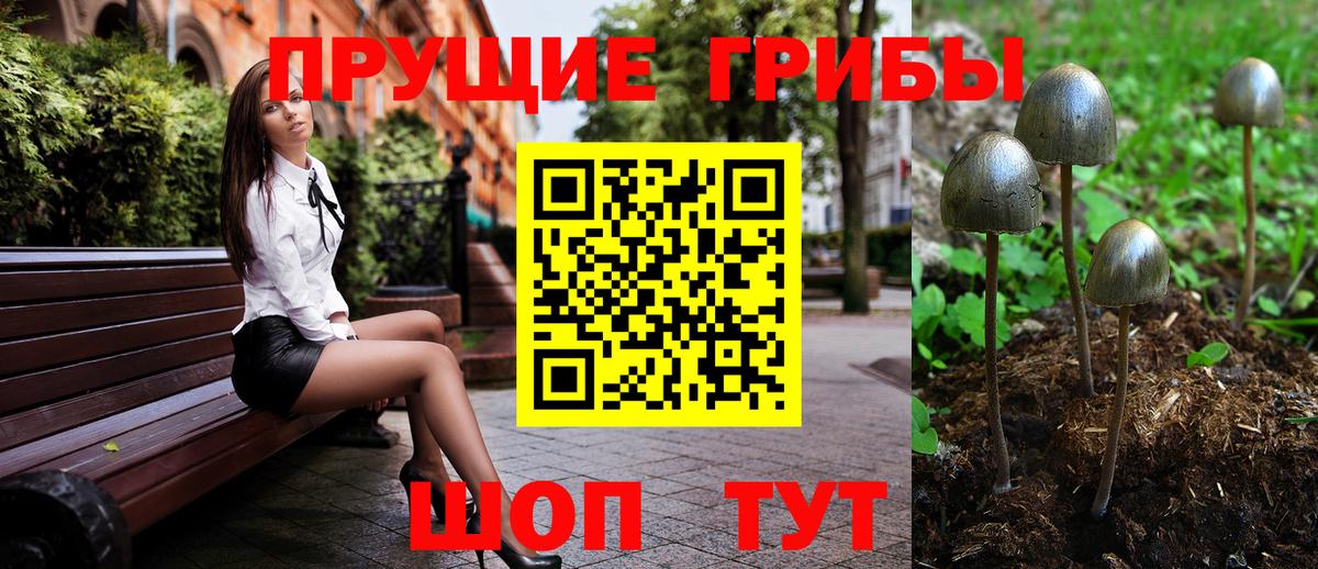 Псилоцибиновые грибы GOLDEN TEACHER Сургут