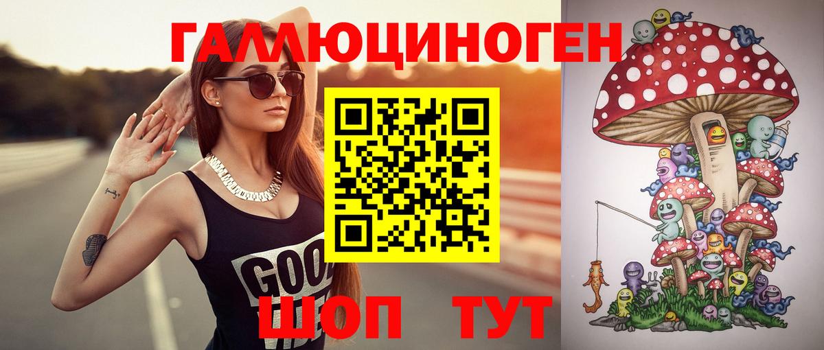 дарнет шоп  Вход с VPN  Сургут  Галлюциногенные грибы Psilocybine cubensis 